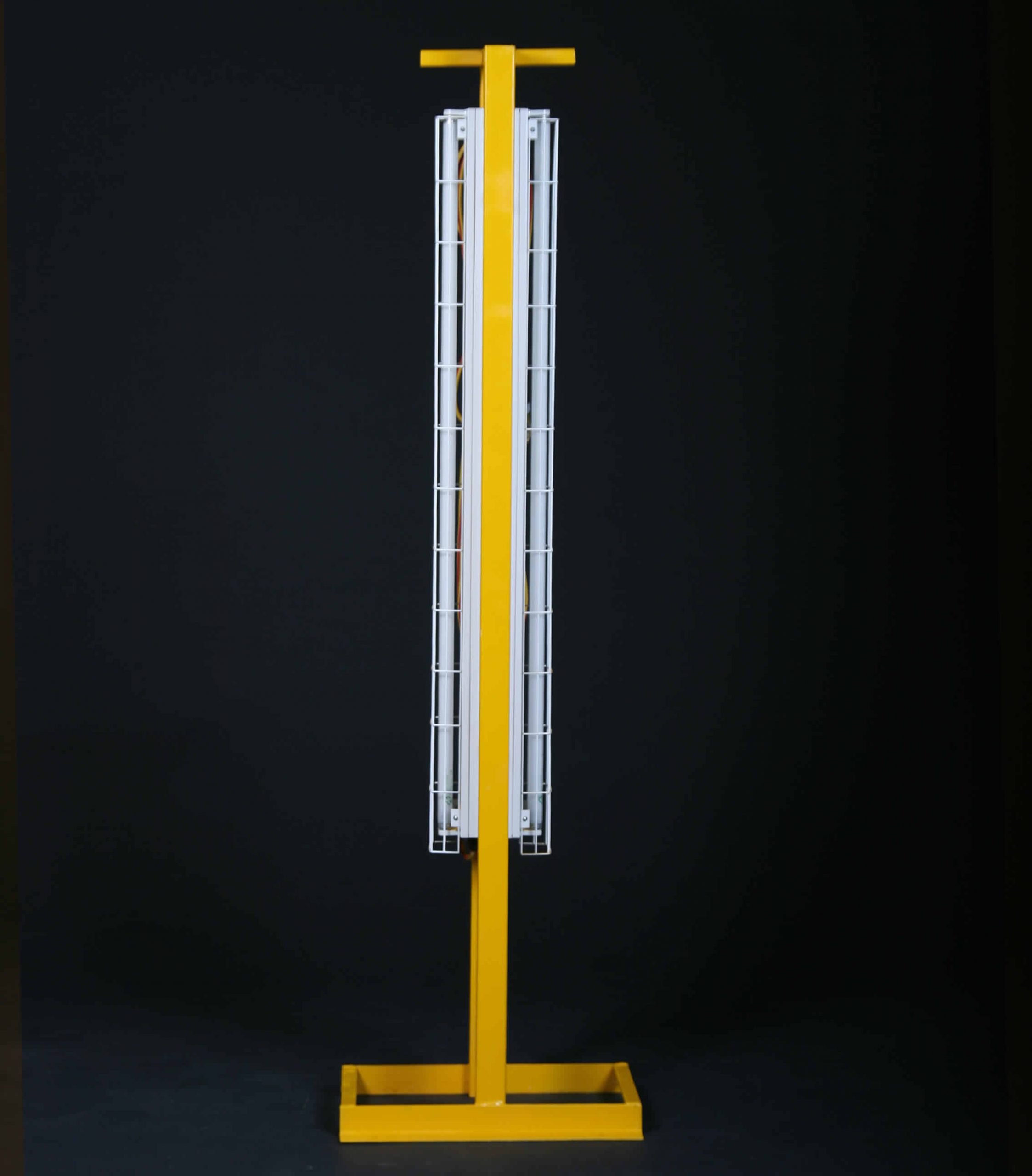 Twin 40W LED Light Stands IP66